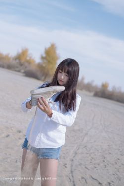 海灯传奇全集